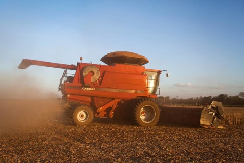 Mechanized Soybean Harvest near Luis Eduardo Magalhaes
