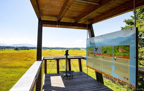 Viewing platform meadow breeding area Haarmoos