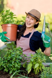 Woman doing gardening on a raised bed