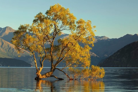 Lake Wanaka at sunrise