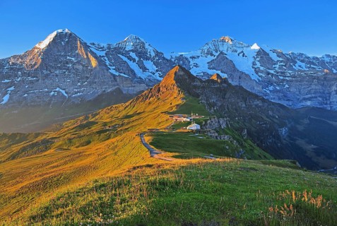 Mountain meadow on the Maennlichen with the triumvirate of the Eiger