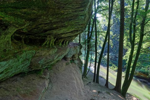 Rock face and deciduous trees on the Schwarzach