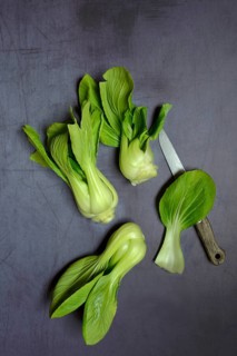 Pak Choi or Chinese mustard cabbage