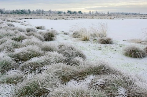 Snow in winter moor