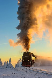 Brockenbahn travels through snowy Spruces (Picea) to the Brocken in the evening light