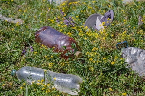 Symbolic image Environmental pollution