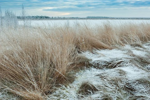 Snow in winter moor