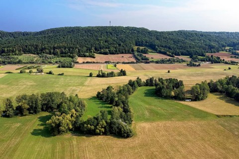 Pegnitzaue in cultural landscape