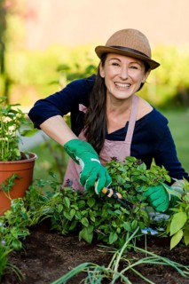Woman doing gardening on a raised bed