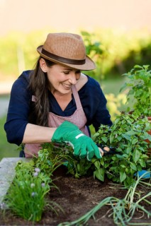 Woman doing gardening on a raised bed