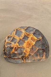 Moeraki Boulders