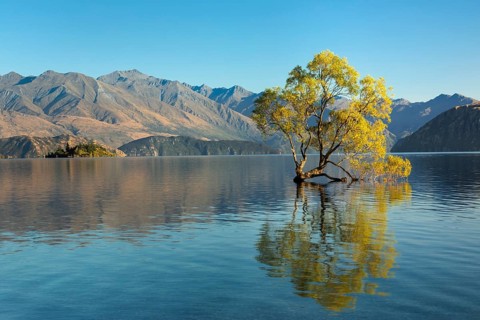 Lake Wanaka at sunrise