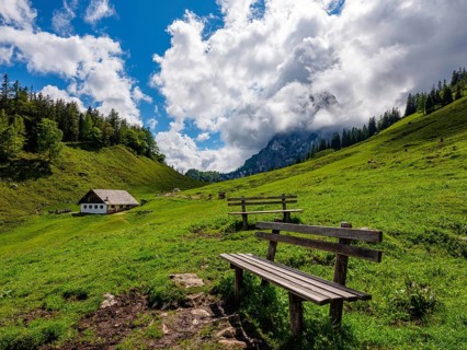 Viewing bench on the Halsalm
