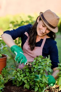 Woman doing gardening on a raised bed