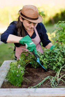 Woman doing gardening on a raised bed