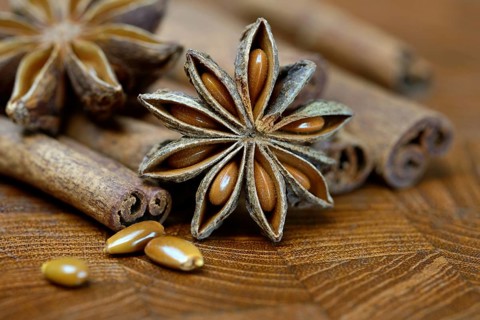01_ (Illicium verum)
