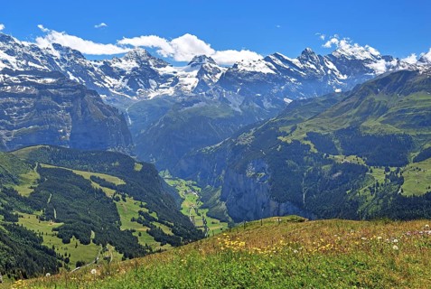 Mountain meadow on the Maennlichen with Lauterbrunnen valley and Breithorn
