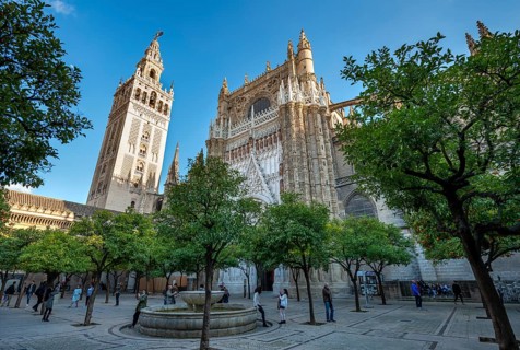 View from the orange courtyard with orange trees