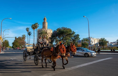 Decorated horse-drawn carriage on the Paseo Cristobal Colon