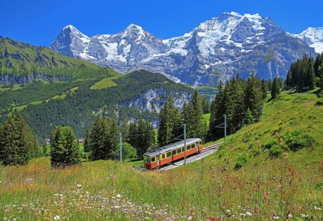 Mountain meadow and Muerren railway with the triumvirate of the Eiger