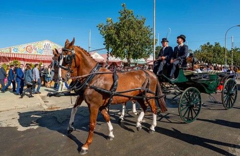 Decorated horse-drawn carriage