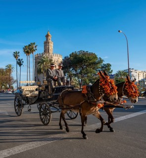 Decorated carriage on the Paseo Cristobal Colon