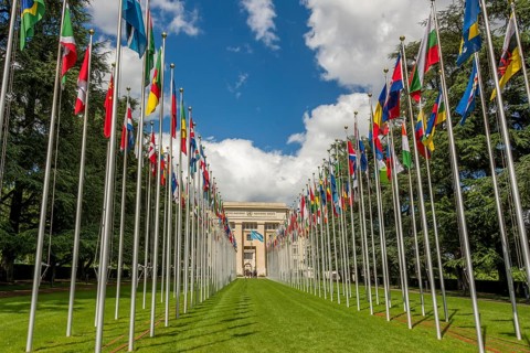 Flags at the United Nations Office at Geneva