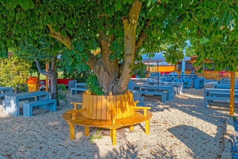 Beer garden with round bench and chestnut tree