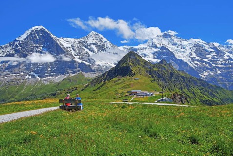 Mountain meadow on the Maennlichen with the triumvirate of the Eiger