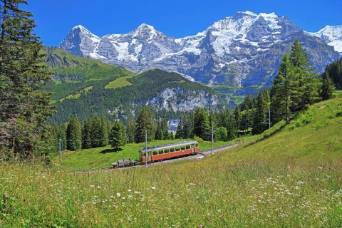 Mountain meadow and Muerren railway with the triumvirate of the Eiger