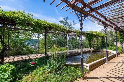 Wine Terraces of Wernigerode Castle