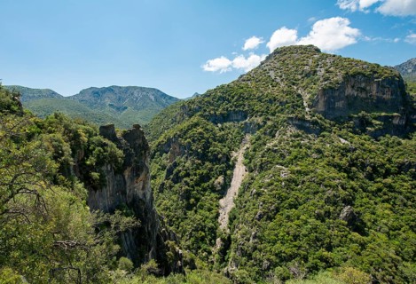Forested slopes