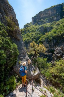 Hiker on a hiking trail