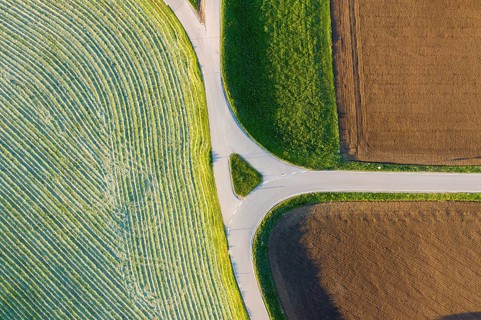 Country road between Felder