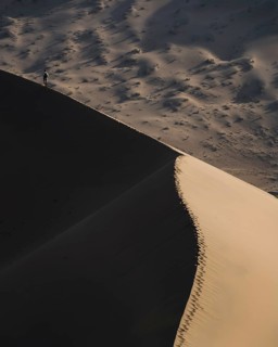 A lonely desert wanderer in the Gobi Desert