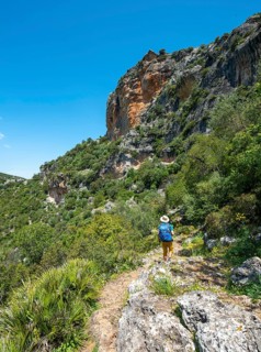 Hiker on a hiking trail