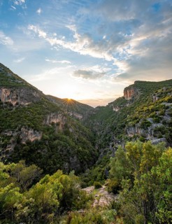 Forested slopes