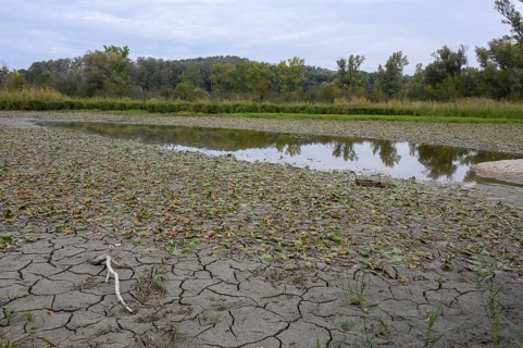 Dry meadow landscape