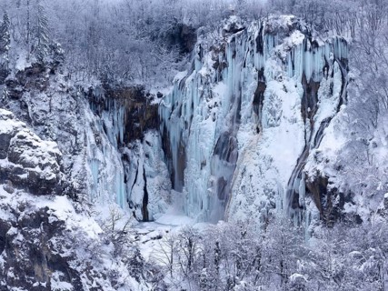 Winter landscape