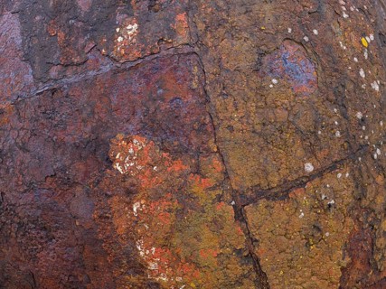 Rusty buoy