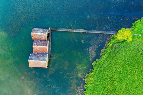 Boathouses in Lake Kochel near Schlehdorf from above