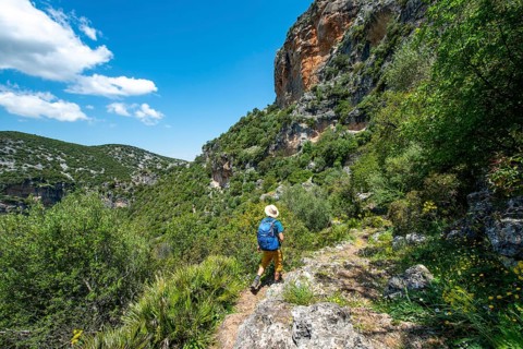 Hiker on a hiking trail