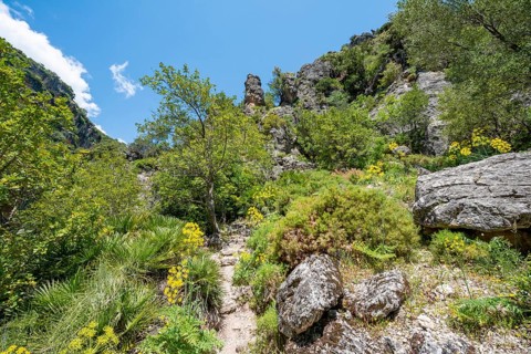 Footpath