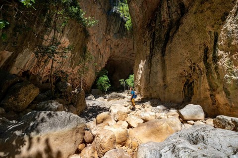 Hikers in the canyon with green trees