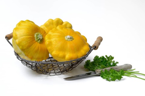 Yellow patisson pumpkins in wire basket