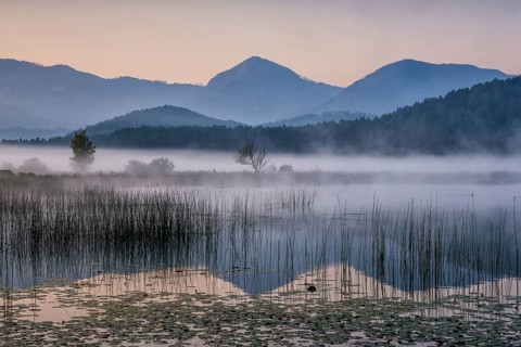 Sunrise with wafts of mist over the Lake Turnersee