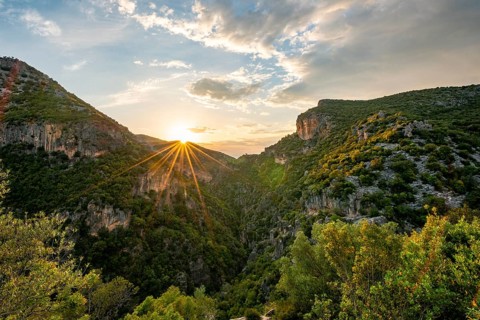 Forested mountainsides