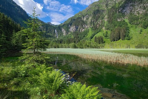 Styrian Lake Constance in summer