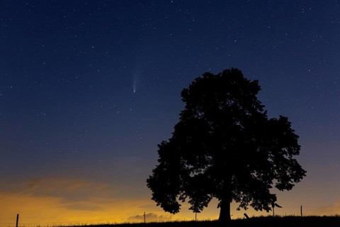 Comet C/2020 F3