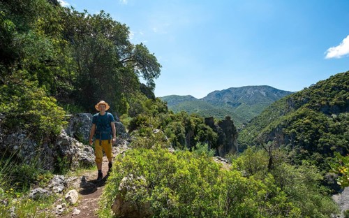 Hiker on a hiking trail